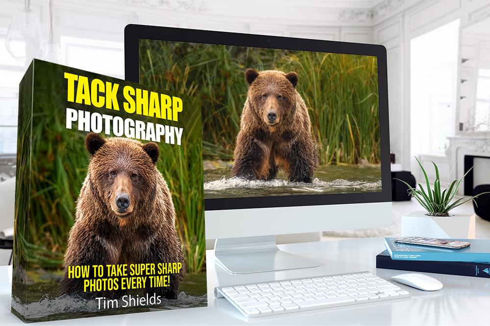 Tack-sharp photography, Tim shields, Photography academy